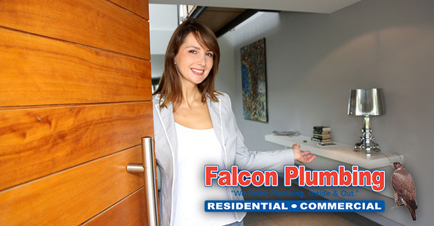 Falcon Plumbing Vip Program Services in Miami, FL